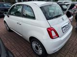 Fiat 500 1.0 DOLCEVITA*Klima*Glasdach*CarPlay - Fiat 500: Glasdach
