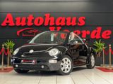 Volkswagen New Beetle Cabriolet 1.4 SHZ/**94.000Km** - Volkswagen New Beetle mit Benzin-Antrieb: Cabrio, 1.4