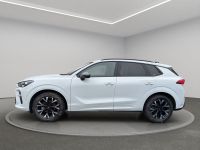 Cupra Terramar - Vorschau Bild 5