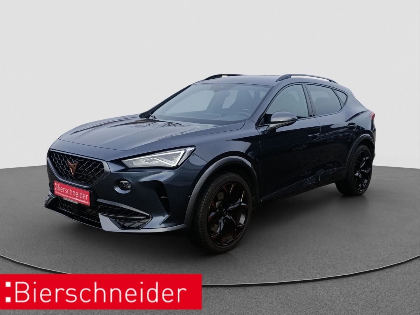 Cupra Formentor 2.0 TSI DSG 4Dr. VZ DCC BEATS CAM SHZ