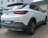 Opel Grandland (X) 1.2 Turbo 96kW Opel 2020 360° Kam - Opel Grandland (X) in Mainz