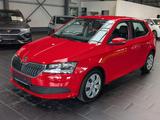 Skoda Fabia 1.0 TSI Cool Plus Klima 8-fach - Skoda Fabia Gebrauchtwagen in Ludwigshafen