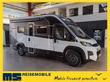 Chausson X 650 EXCLUSIVE LINE / - 2025 - / XXL - HUBBETT