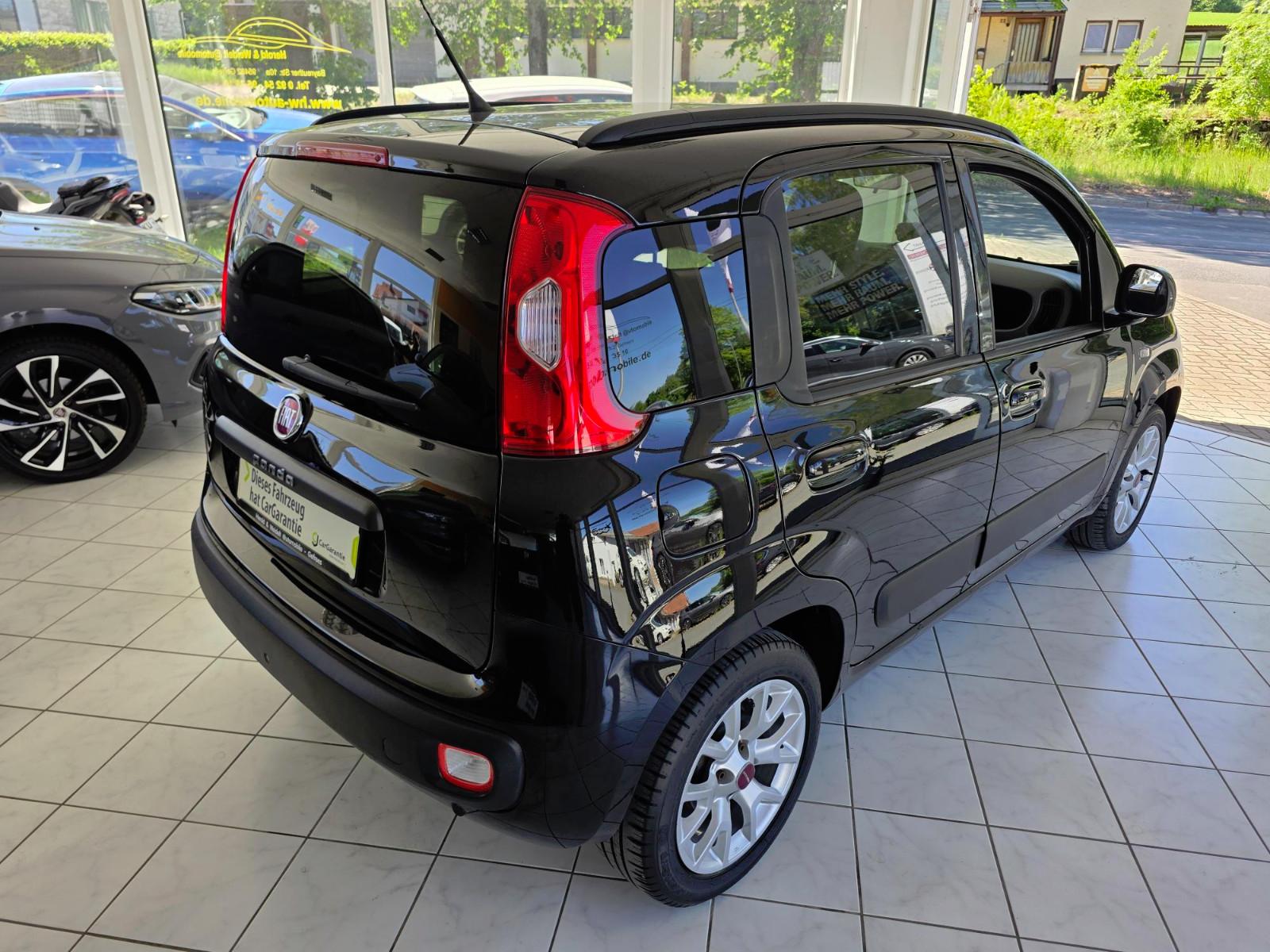 Fiat Panda Lounge Sitz- und Frontscheibenheizung