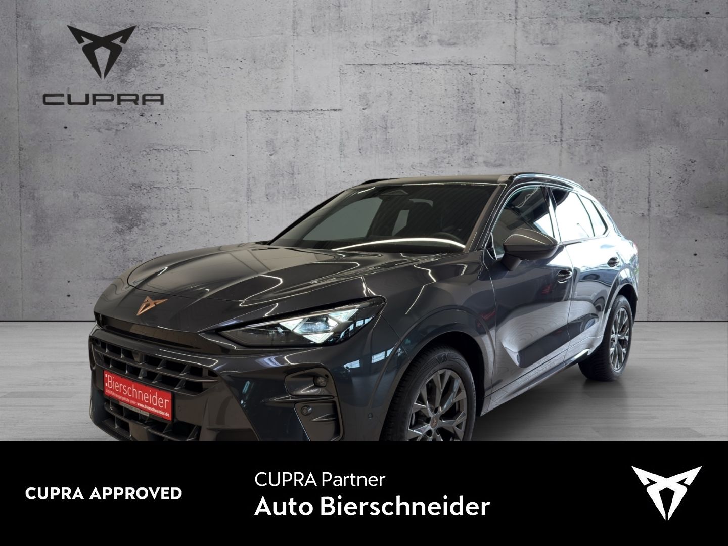 Cupra Terramar 2.0 TSI 4Drive DSG HD-MATRIX HUD NAVI I