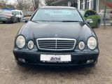 Mercedes-Benz CLK 230 KOMPRESSOR AVANTGARDE - Mercedes-Benz CLK 230 aus 2000