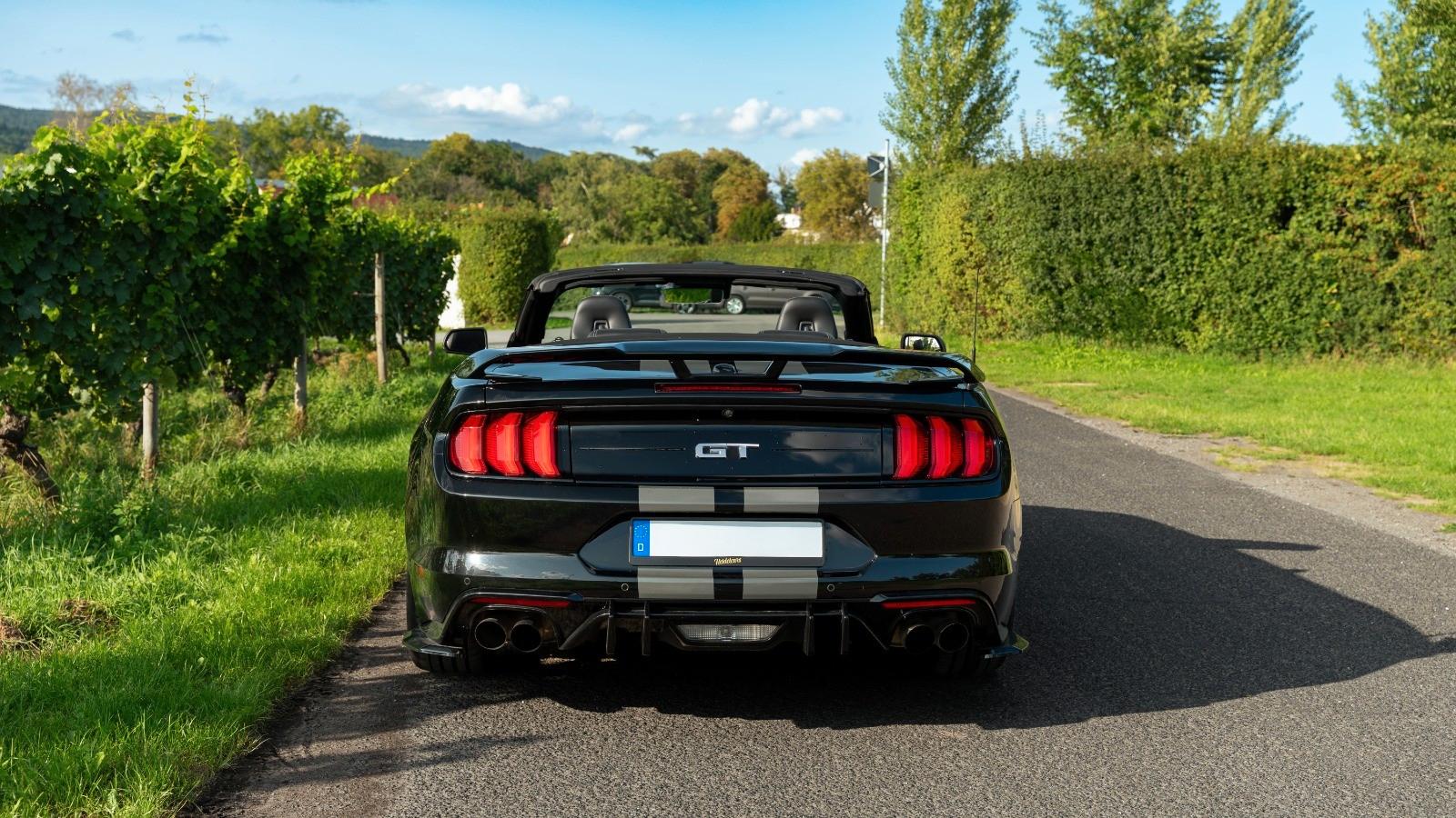 Ford Mustang GT 5.0 V8 | Shelby Kit | 55 Years Ed.