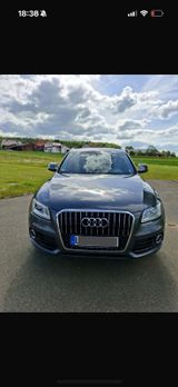 Audi Q5 2.0 TDI clean diesel 110kW - - Audi Q5 aus 2015
