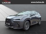 Lexus NX 350 h Executive -15 Jahre Ga rantie- Interieu - graue Lexus NX 350h