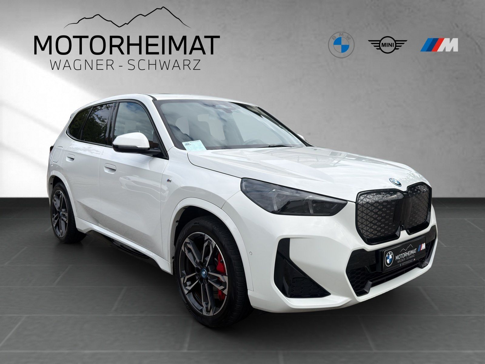 BMW iX1 xDrive30 M Sport Pro Pano ACC 360° AHK foto 5