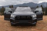 Audi Q7 60 TFSI e quattro S line / Pano/ HD Matrix