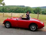 Austin Healey Andere - Austin Healey Gebrauchtwagen