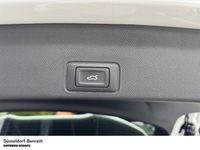 Cupra Terramar - Vorschau Bild 10