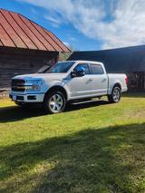 Ford F 150 Platinum  - Ford F 150 mit Panoramadach