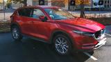 Mazda CX-5 2.2 175 Sports-Line AWD, Leder, HDU, Bose - Mazda CX-5 Gebrauchtwagen in München