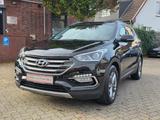 Hyundai Santa Fe 2.2 CRDi blue Style KAM/INFINITY/SHZ hi - Hyundai SANTA FE Gebrauchtwagen in Hamburg