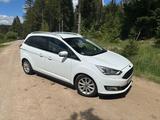 Ford Grand C-Max 1,5 EcoBoost 110kW Titanium Auto... - Ford Grand C-Max aus 2017