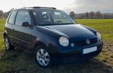 Volkswagen Lupo Princeton open air - Volkswagen Lupo: Princeton