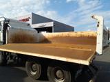 MAN TGS 33.510 6x4 Kipper Bordmatik AHK 50 Kipphydr. - Tier-/Pferdetransport 3 5t