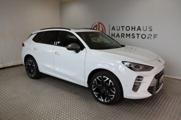 Cupra Terramar 2.0 TSI 4Drive VZ DCC AHK Pano HeadUp