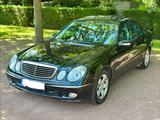 Mercedes-Benz E 320 AVANTGARDE 1.Hand*Pano*AhK*60.000KM*TÜV* - Mercedes-Benz E 320: Avantgarde