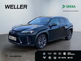 Lexus UX 250h F SPORT Design *Bi-LED*ACC*RCam*SHZ*PDC* - Lexus UX in Wuppertal