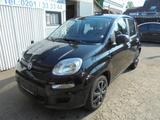 Fiat Panda Pop 2.Hand Klima Bluetooth - Fiat Panda: Schwarz