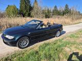 BMW 325Ci - Cabrio Sommerfahrzeug - BMW 325 aus 2006
