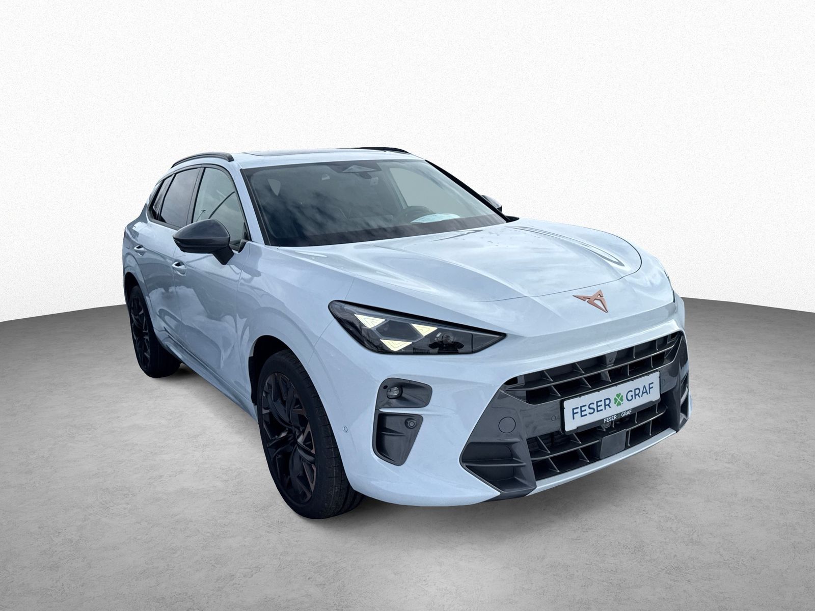 Cupra Terramar - Bild 3