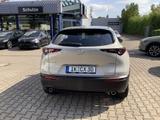 Mazda CX-30 2.5L e-SKYACTIV G 140 PS Nagisa Bose® Nagi - Mazda CX-30 Nagisa mit Hybrid-Antrieb (Benzin/Elektro)