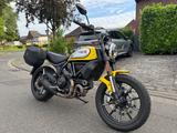 Ducati Scrambler ICON Yellow - DUCATI GELB