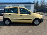 Fiat Panda 1.1 8V Active - Fiat Panda: Gelb
