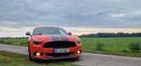 Ford Mustang 5.0 Ti-VCT V8 GT GT - Ford: Orange