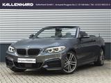BMW M240i xDrive Cabrio-M-Perfomance-H&K-ACC-Kamera - BMW M240i aus 2020
