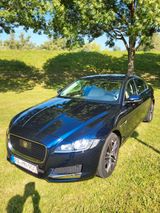Jaguar XF 25t 250PS AHK, Prestige, Automatik