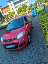 Fiat New Panda 1.2 8V MORE MORE - Fiat New Panda aus 2017