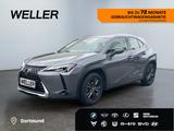 Lexus UX 250h Launch Edition *Bi-LED*ACC*CAM*SHZ*Navi* - Lexus UX Gebrauchtwagen