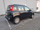 Fiat Panda My Panda  1 HAND SCHECKHEFT - Fiat Panda mit Benzin-Antrieb: Kleinwagen, Klimaanlage, 1.1