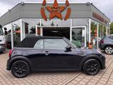 MINI COOPER Cabrio Classic Trim ,LED,Junge Sterne-Gar - MINI in Magdeburg