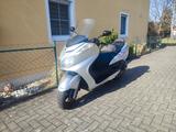 Yamaha Majesty 400 / YP400 - YAMAHA MAJESTY
