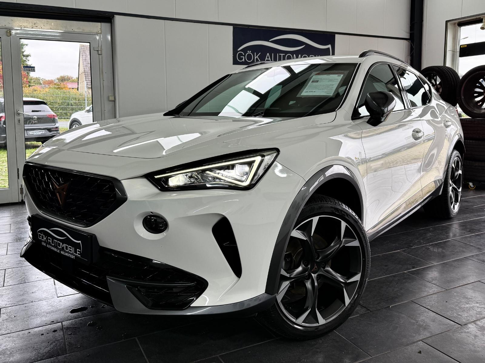 Cupra Formentor *DSG*SCHALENSITZE*BEATS*NAVI*19ZOLL