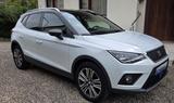 Seat Arona 1.0 TSI Start&Stop 85kW XCELLENCE XCEL... - Seat Arona XCELLENCE mit Benzin-Antrieb