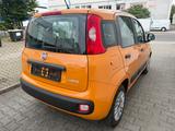 Fiat Panda Base - Fiat Panda mit Hybrid-Antrieb