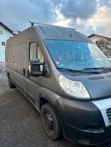 Fiat Ducato Camper/Renntransporter - Fiat Ducato: Camper