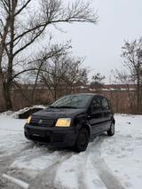 Fiat Panda 1.2 8V Dynamic - Fiat Panda: Dynamic