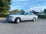Mercedes-Benz Mercedes Benz W126 300 SE Weiß Oldtimer H ... - Mercedes-Benz 300: Se W126