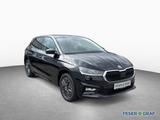 Skoda Fabia Tour 1.0TSI DSG*Winter-P.*SmartLink*SHZ*GR - Skoda Fabia: Tour