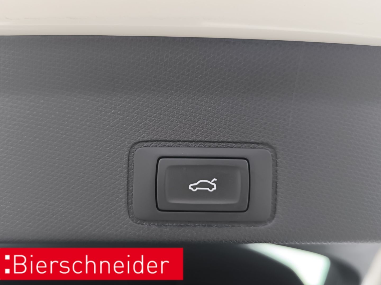 Cupra Terramar - Bild 24