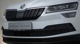 Skoda Karoq Ambition Sport Moon white! - Skoda: Weiß