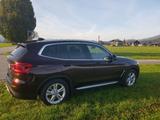 BMW X3 xDrive20d  - BMW X3: Braun